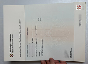Get Cambridge Assessment International Education fake certificate.