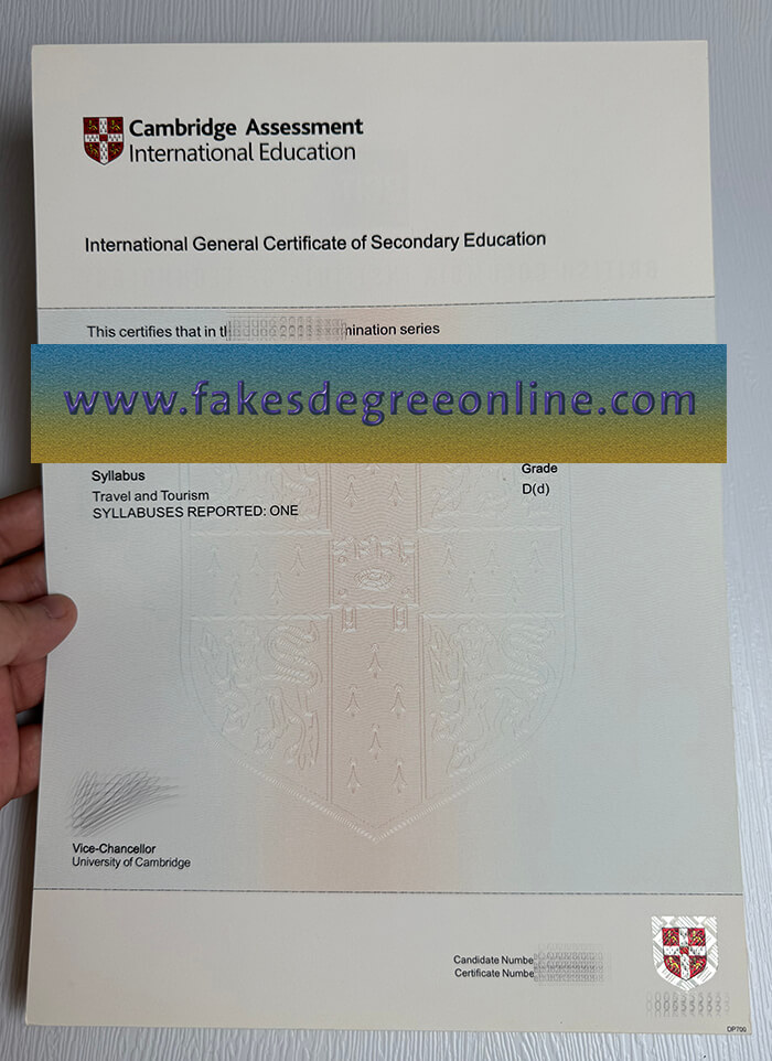 Buy Cambridge Assessment International Education fake certificate.