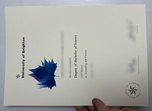 Purchase University of Brighton fake diploma online.