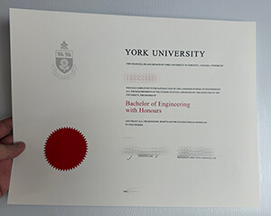Get York University fake diploma online.