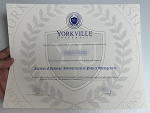 Get Yorkville University fake diploma online.
