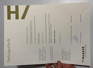 Obtain De Haagse Hogeschool fake diploma online.