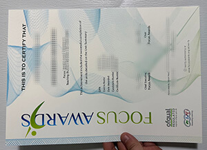 Purchase Focus Awards fake certificate online.