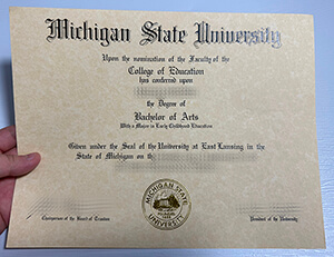 Michigan State University diploma