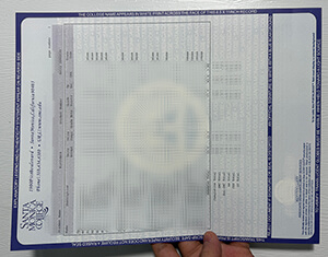 Santa Monica College transcript.