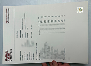 Obtain Sheffield Hallam University fake diploma online.