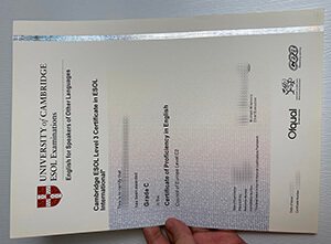 Fake University of Cambridge ESOL Examinations degree.
