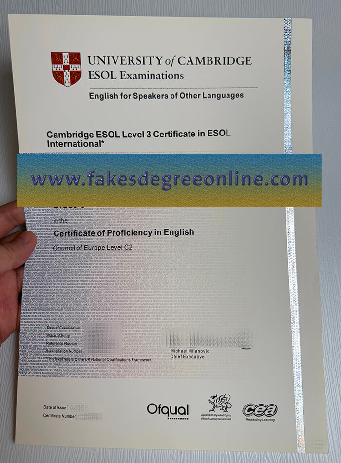 Buy University of Cambridge ESOL Examinations fake certificate.
