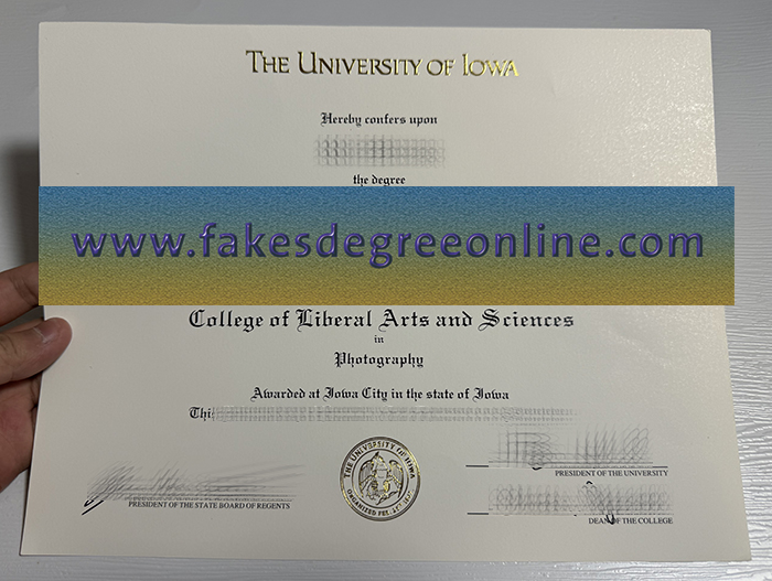 University of Iowa degree