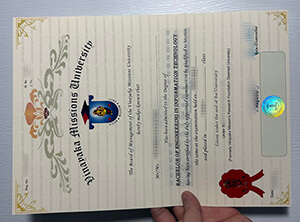 Vinayaka Missions University diploma