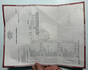 Get Bastyr University fake trasncript