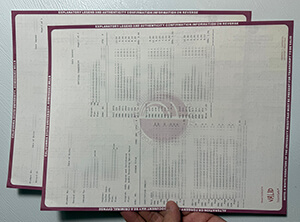 Fake CSU Dominguez Hills transcript