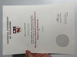 National University of Singapore diploma