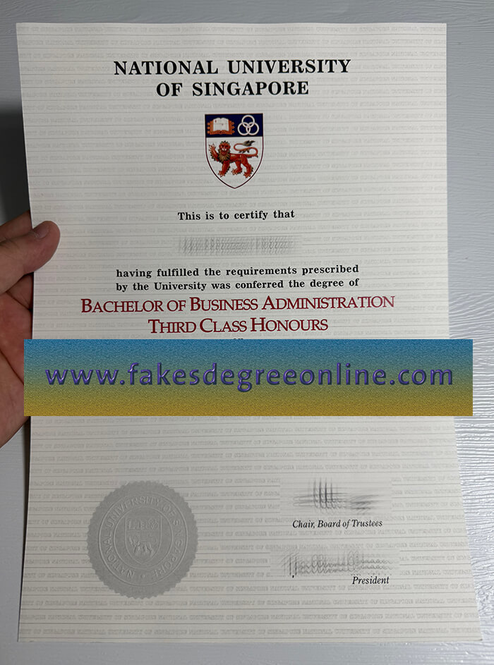 National University of Singapore diploma