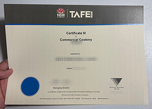 Fake Technical and further education diploma