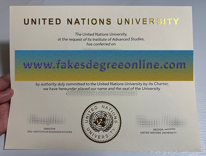 United Nations University diploma
