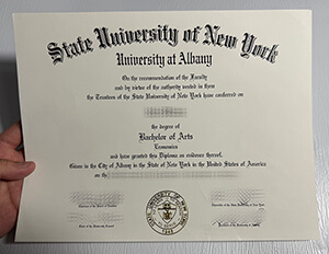 Get University at Albany SUNY fake diploma