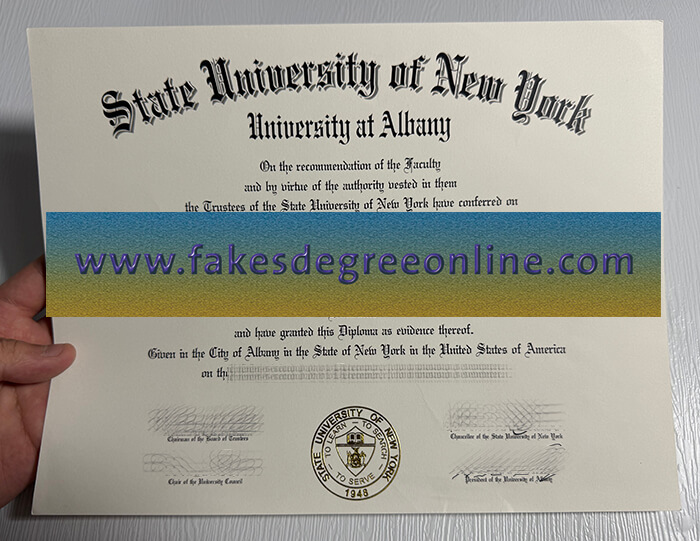 University at Albany SUNY diploma