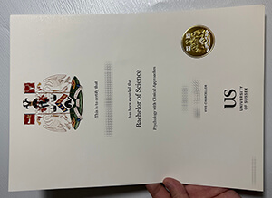 Obtain University of Sussex fake diploma online