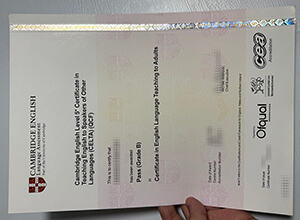 Get Cambridge English Level 5 Certificate online