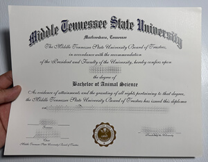 Order Middle Tennessee State University fake diploma