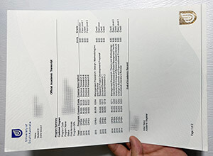 Fake University of South Australia transcript