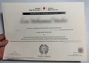 Fake istanbul Bilgi University diploma