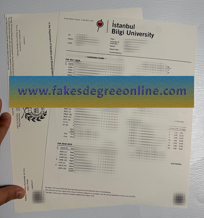 Fake istanbul Bilgi University transcript