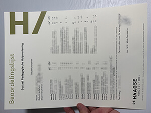 Get De Haagse Hogeschool transcript