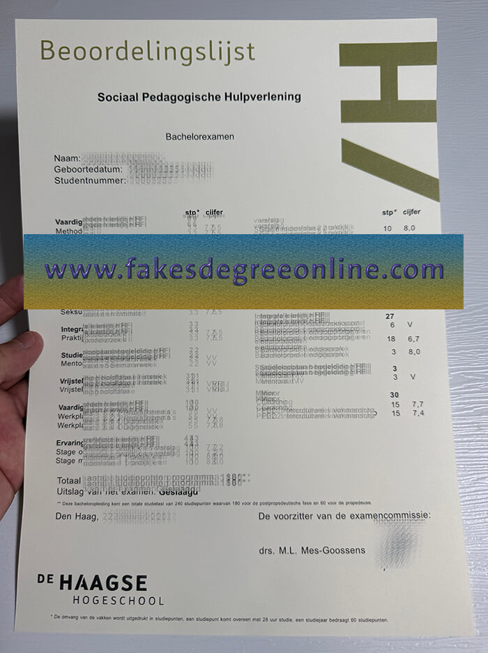 De Haagse Hogeschool transcript