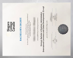 Niagara College diploma