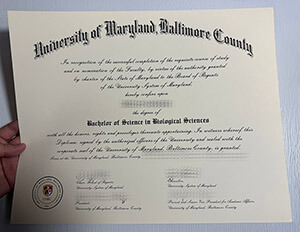 Purchase University of Maryland Baltimore County diploma online.