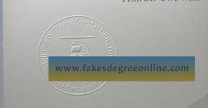 Convex protrusion process