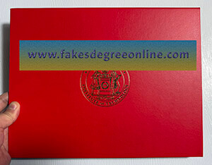 MIT certificate Coverss