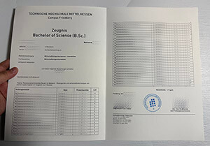 Get a Technische Hochschule Mittelhessen diploma