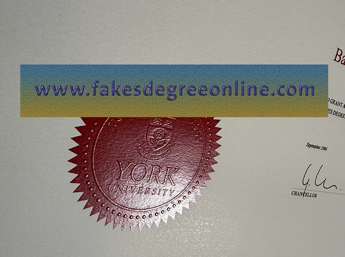 York University Convex protrusion process