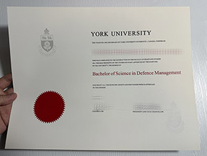 Get a York University diploma