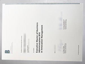 Purchase a Berner Fachhochschule diploma online