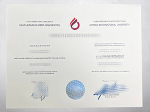 Get a Cyprus International University diploma