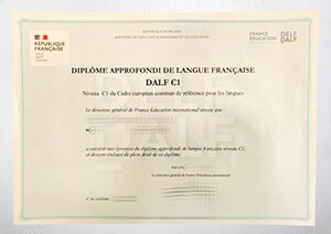 Get a DALF C1 certificate online