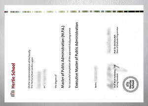 Fake Hertie School diploma, Make a Hertie School certificate