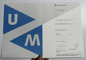 Maastricht University diploma online