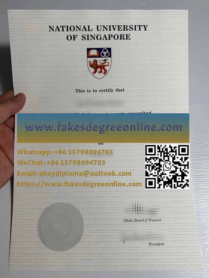Get a National University of Singapore diploma, Make a NUS degree online