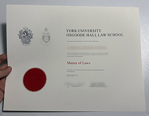 Obtain a Osgoode Hall Law School diploma online
