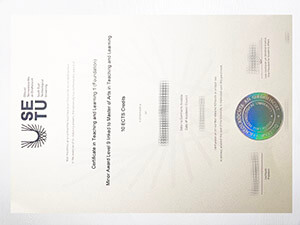 Get South East Technological University diploma