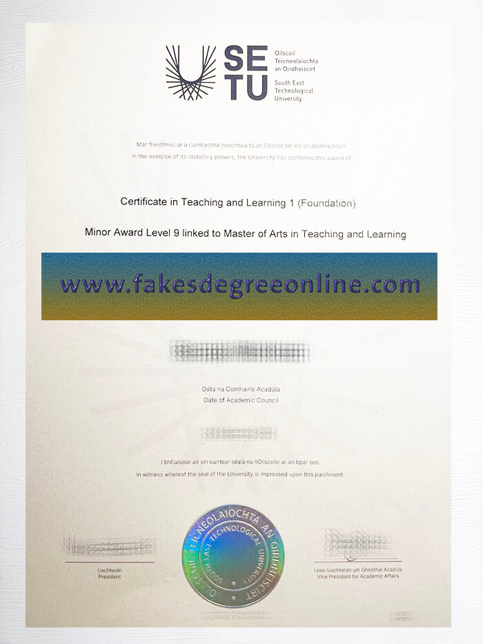 South East Technological University diploma