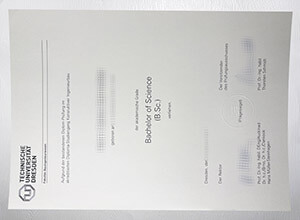 Purchase Technische Universität Dresden diploma online