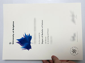 Get a University of Brighton diploma