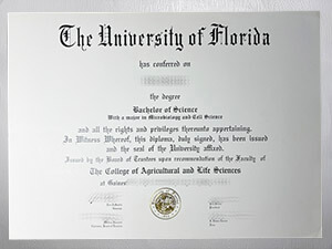 Get a University of Florida diploma online