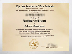 Get Art Institute of San Antonio diploma online